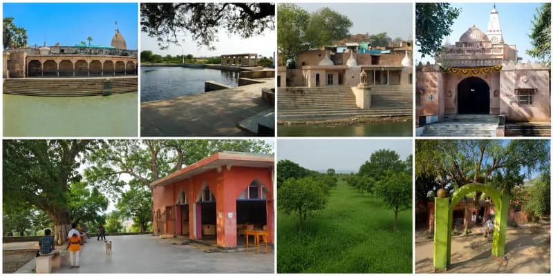 The Sacred Groves of Braj: The Twelve Forests (Dwadash Van), Bhandirvan, Kamyavan & More - A Complete Guide